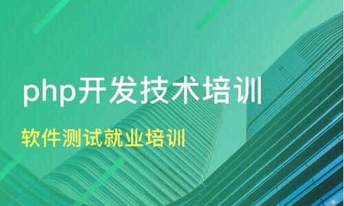 北京軟件測(cè)試與開(kāi)發(fā)培訓(xùn)指南 課程價(jià)格、機(jī)構(gòu)選擇與職業(yè)發(fā)展